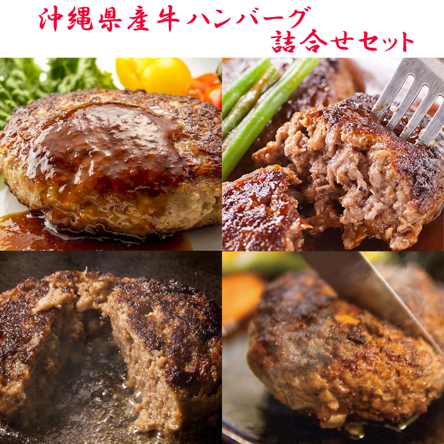沖縄県産牛ハンバーグ詰合せセット(5個入・送料別途)