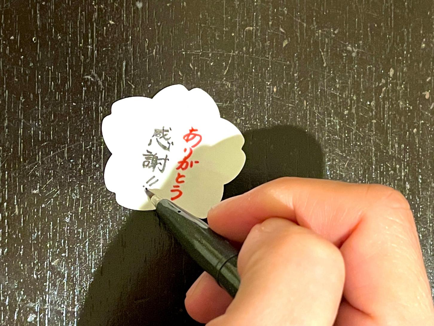 まぼろしの桜 クメノサクラの詳細画像 まぼろしの桜 クメノサクラの詳細画像