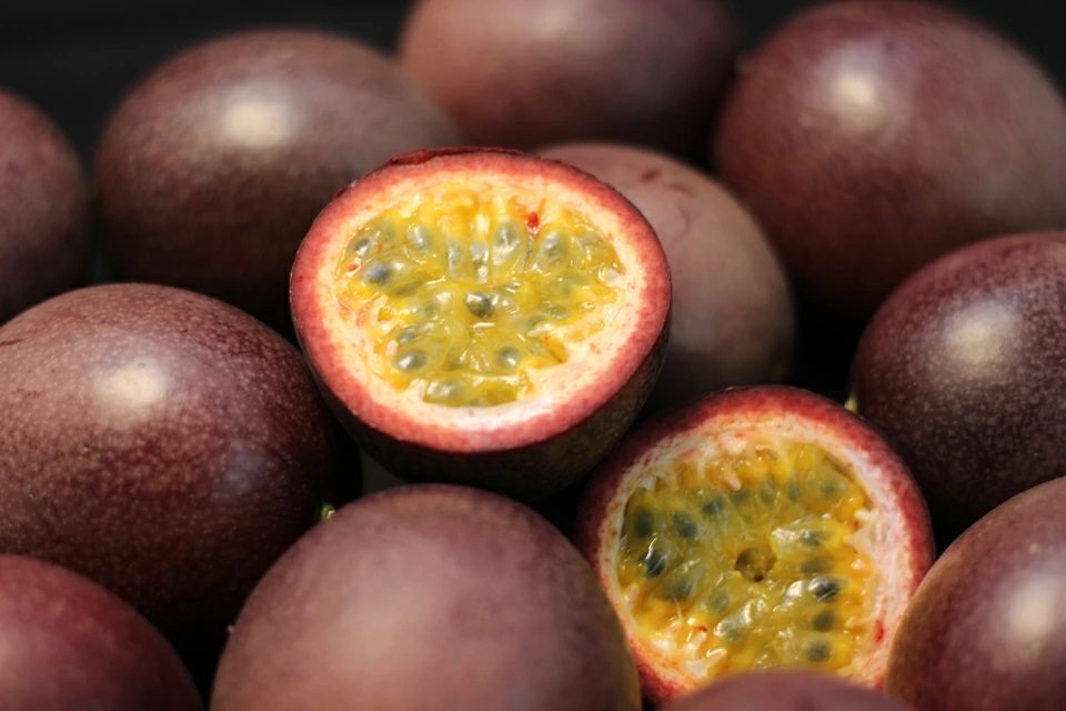 【5月中旬以降順次出荷】パッションフルーツ ご家庭用　1kg 【送料込】の詳細画像