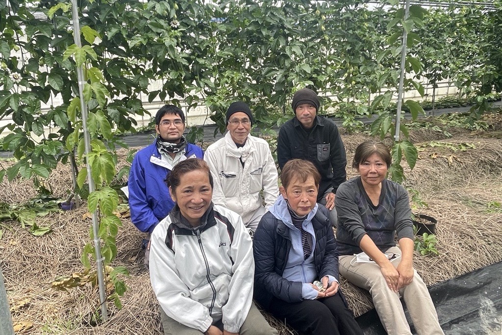 【5月中旬以降順次出荷】パッションフルーツ ご家庭用　1kg 【送料込】の詳細画像