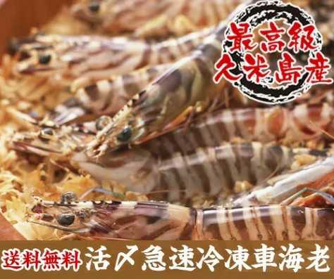 【送料無料】活〆急速冷凍車海老　500g/30〜34尾入/約13cm