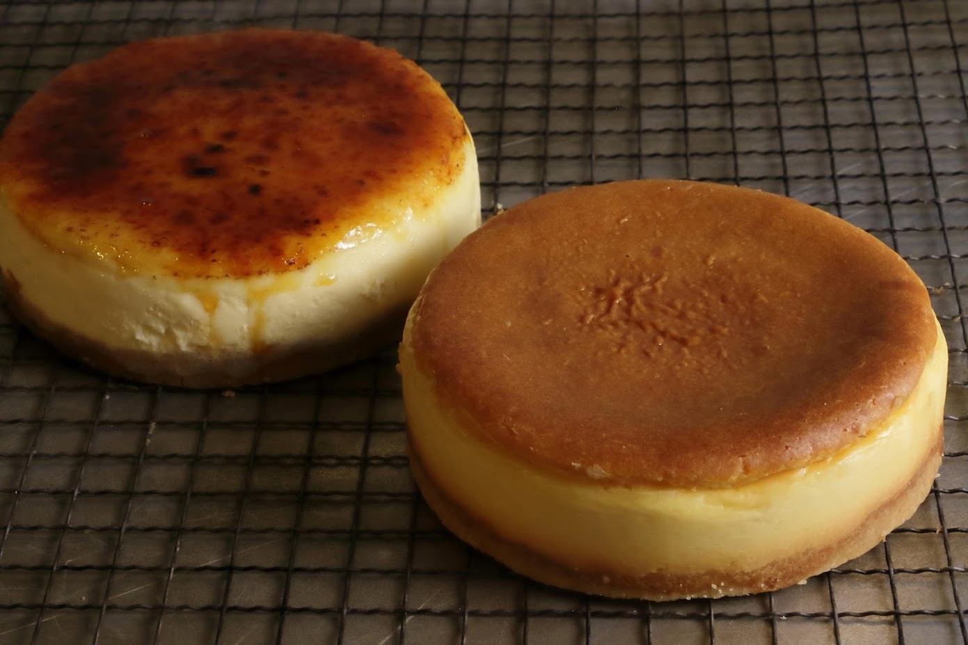 PUZO チーズケーキ 人気No.1セット【送料込】