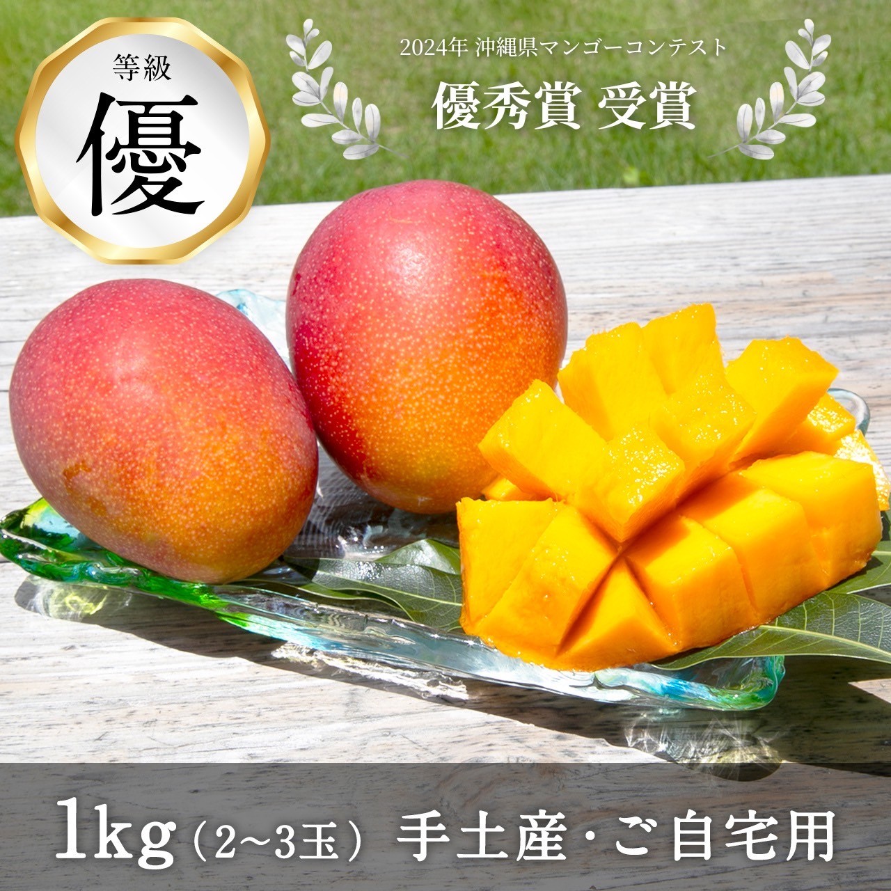【6月下旬以降発送予定】　コーラルファーム アップルマンゴー 優品1kg