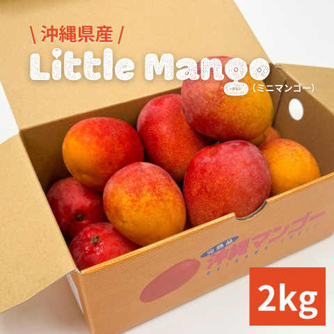 【送料込み】沖縄県産リトルマンゴー　2kg