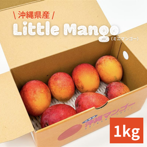 【送料込み】沖縄県産リトルマンゴー　1kg