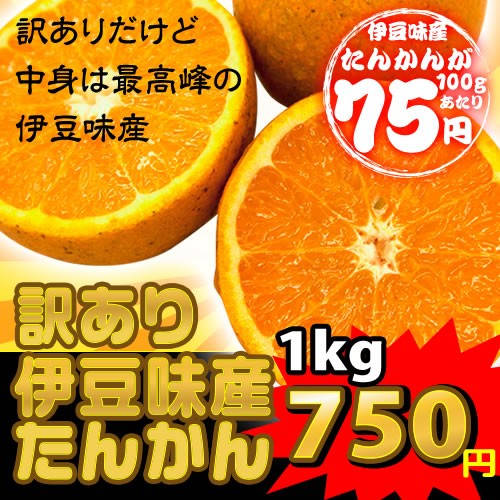沖縄県伊豆味産たんかん(ワケあり) 1kg